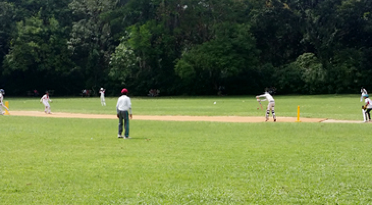 Grass ground for fielding and matches